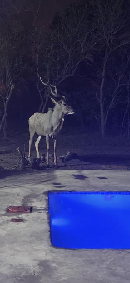 Hotel Wild Goose Marloth Park Esterno foto