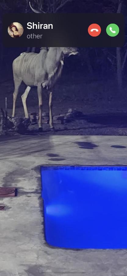 Hotel Wild Goose Marloth Park Esterno foto